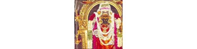 14. சீர்காழி